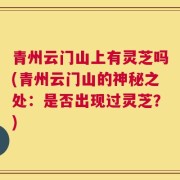 青州云门山上有灵芝吗(青州云门山的神秘之处：是否出现过灵芝？)