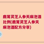 鹿茸灵芝人参天麻泡酒比例(鹿茸灵芝人参天麻泡酒配方分享)