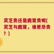 灵芝贵还是鹿茸贵呢(灵芝与鹿茸，谁更昂贵？)