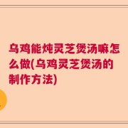 乌鸡能炖灵芝煲汤嘛怎么做(乌鸡灵芝煲汤的制作方法)