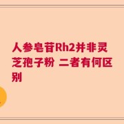 人参皂苷Rh2并非灵芝孢子粉 二者有何区别