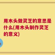 用木头做灵芝的意思是什么(用木头制作灵芝的意义)