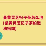 桑黄灵芝杞子茶怎么泡(桑黄灵芝杞子茶的泡法指南)