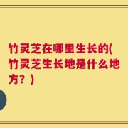 竹灵芝在哪里生长的(竹灵芝生长地是什么地方？)