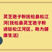 灵芝孢子粉抚松县松江河(抚松县灵芝孢子粉进驻松江河区，助力健康生活)