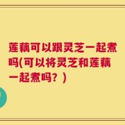 莲藕可以跟灵芝一起煮吗(可以将灵芝和莲藕一起煮吗？)