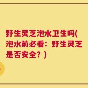 野生灵芝泡水卫生吗(泡水前必看：野生灵芝是否安全？)