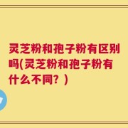 灵芝粉和孢子粉有区别吗(灵芝粉和孢子粉有什么不同？)