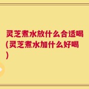 灵芝煮水放什么合适喝(灵芝煮水加什么好喝)