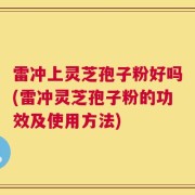 雷冲上灵芝孢子粉好吗(雷冲灵芝孢子粉的功效及使用方法)