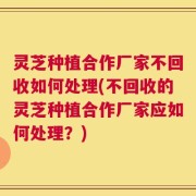 灵芝种植合作厂家不回收如何处理(不回收的灵芝种植合作厂家应如何处理？)