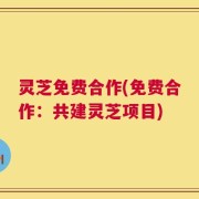 灵芝免费合作(免费合作：共建灵芝项目)