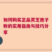 如何购买正品灵芝孢子粉的实用指南与技巧分享