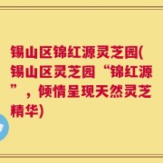 锡山区锦红源灵芝园(锡山区灵芝园“锦红源”，倾情呈现天然灵芝精华)