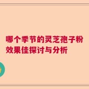 哪个季节的灵芝孢子粉效果佳探讨与分析