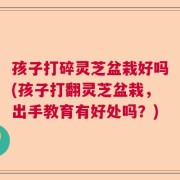 孩子打碎灵芝盆栽好吗(孩子打翻灵芝盆栽，出手教育有好处吗？)