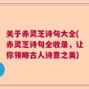 关于赤灵芝诗句大全(赤灵芝诗句全收录，让你领略古人诗意之美)