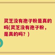 灵芝没有孢子粉是真的吗(灵芝没有孢子粉，是真的吗？)
