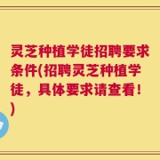 灵芝种植学徒招聘要求条件(招聘灵芝种植学徒，具体要求请查看！)