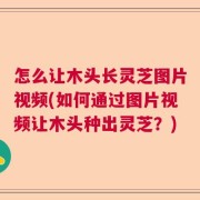 怎么让木头长灵芝图片视频(如何通过图片视频让木头种出灵芝？)