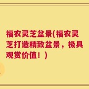 福农灵芝盆景(福农灵芝打造精致盆景，极具观赏价值！)