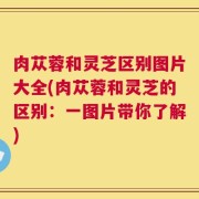 肉苁蓉和灵芝区别图片大全(肉苁蓉和灵芝的区别：一图片带你了解)