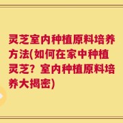 灵芝室内种植原料培养方法(如何在家中种植灵芝？室内种植原料培养大揭密)