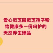 爱心灵芝园灵芝孢子粉 给健康多一份呵护的天然养生臻品