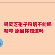 喝灵芝孢子粉后不能喝咖啡 原因你知道吗