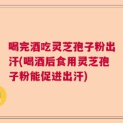喝完酒吃灵芝孢子粉出汗(喝酒后食用灵芝孢子粉能促进出汗)