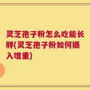 灵芝孢子粉怎么吃能长胖(灵芝孢子粉如何摄入增重)