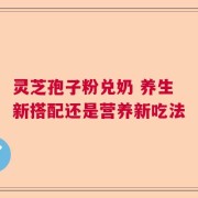 灵芝孢子粉兑奶 养生新搭配还是营养新吃法
