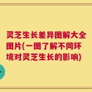 灵芝生长差异图解大全图片(一图了解不同环境对灵芝生长的影响)