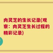 肉灵芝的生长记录(观察：肉灵芝生长过程的精彩记录)
