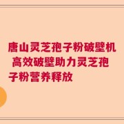 唐山灵芝孢子粉破壁机 高效破壁助力灵芝孢子粉营养释放