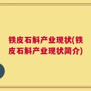 铁皮石斛产业现状(铁皮石斛产业现状简介)
