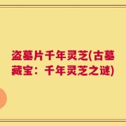 盗墓片千年灵芝(古墓藏宝：千年灵芝之谜)