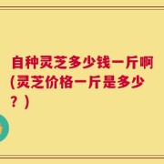 自种灵芝多少钱一斤啊(灵芝价格一斤是多少？)