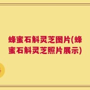 蜂蜜石斛灵芝图片(蜂蜜石斛灵芝照片展示)