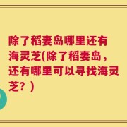 除了稻妻岛哪里还有 海灵芝(除了稻妻岛，还有哪里可以寻找海灵芝？)