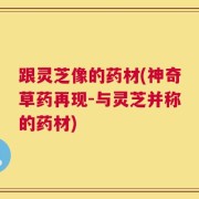 跟灵芝像的药材(神奇草药再现-与灵芝并称的药材)
