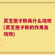 灵芝孢子粉具什么功效(灵芝孢子粉的作用及功效)