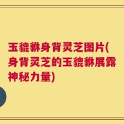 玉貔貅身背灵芝图片(身背灵芝的玉貔貅展露神秘力量)