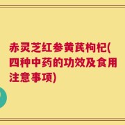 赤灵芝红参黄芪枸杞(四种中药的功效及食用注意事项)