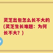 灵芝出包怎么长不大的(灵芝生长难题：为何长不大？)