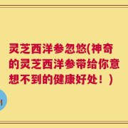 灵芝西洋参忽悠(神奇的灵芝西洋参带给你意想不到的健康好处！)