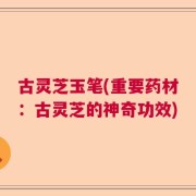 古灵芝玉笔(重要药材：古灵芝的神奇功效)