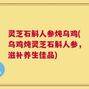 灵芝石斛人参炖乌鸡(乌鸡炖灵芝石斛人参，滋补养生佳品)