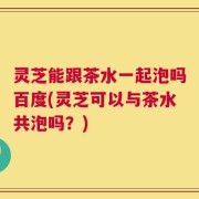 灵芝能跟茶水一起泡吗百度(灵芝可以与茶水共泡吗？)