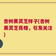 杏树黑灵芝样子(杏树黑灵芝亮相，引发关注)